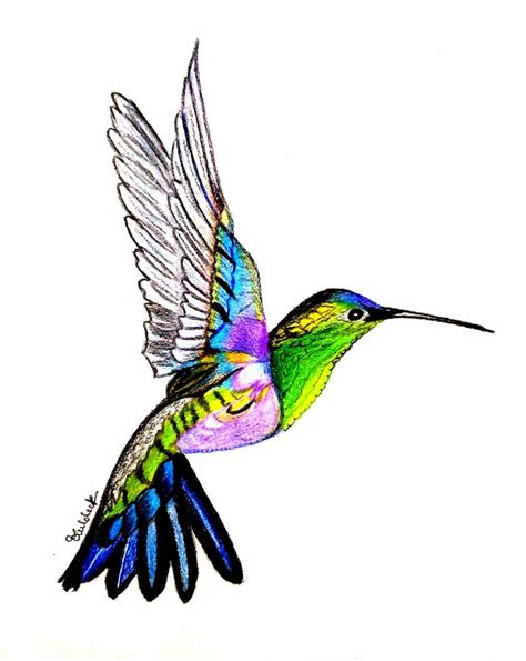 The Hummingbird Drawing by Kuldeep Singh | Saatchi Art