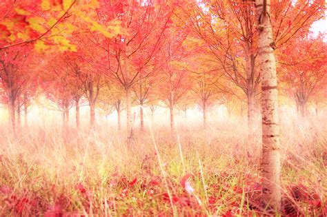 20 Stunning Photos Of Oregon's Fall Foliage | That Oregon Life