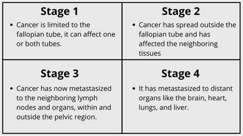 Fallopian Tube Cancer - All You Need To Know - Pains Portal