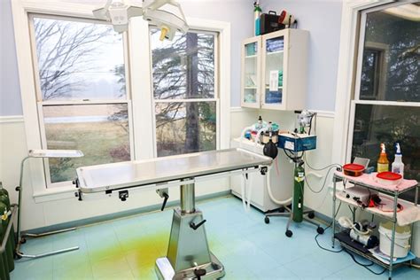 Hamptonburgh Animal Hospital Patient Gallery | Vet Clinic In Campbell Hall, NY