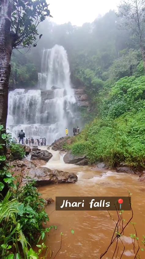 TripUntold - 📍Jhari Falls, Chikmagalur Jhari Falls is...