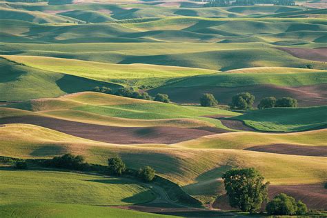 Palouse from Steptoe Butte, showing Photograph by Melissa Stukel