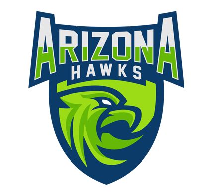 Arizona Hawks Custom Logo | Custom Hawk Sports Logo Design - Lobotz