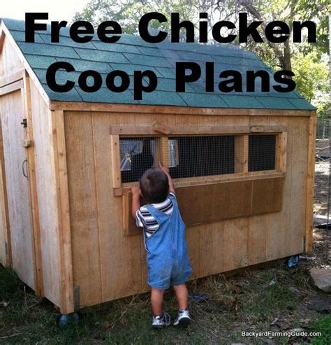 61 DIY Chicken Coop Plans That Are Easy to Build (100% Free)