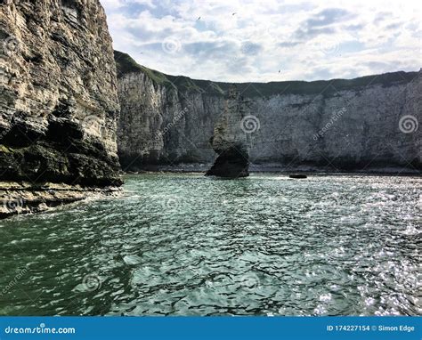 A View of the Bempton Cliffs Stock Photo - Image of bempton ...