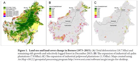 Deforestation In Indonesia : A Summary