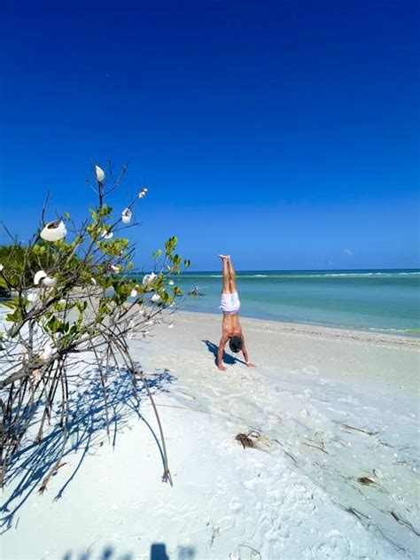 Clear Kayak Tour Shell Key Preserve | St. Petersburg, Florida