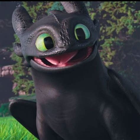 Is Toothless really a very cute Night Fury? | Fandom
