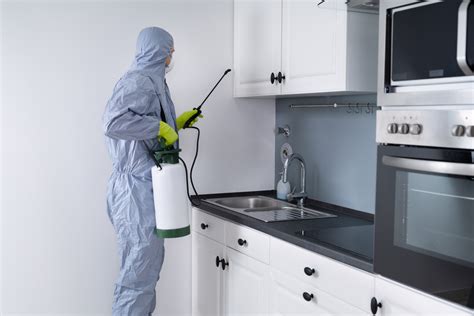 Why Exterminators Are Worth It | Exterminator in Parkville