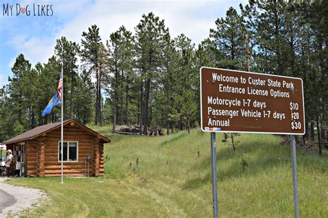 Visiting Custer State Park with Dogs - A Black Hills Gem!