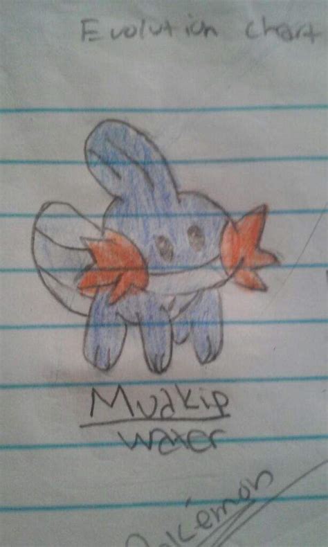 Mudkip evolution chart. | Pokémon Amino