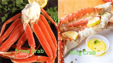 Snow Crab Vs King Crab: What's the Difference? - Diffen Food