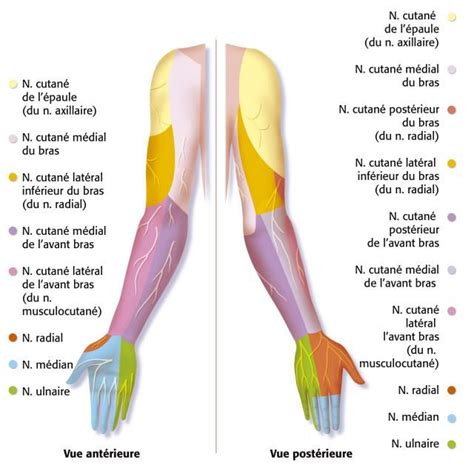 Pin on Ulnar Neuropathy