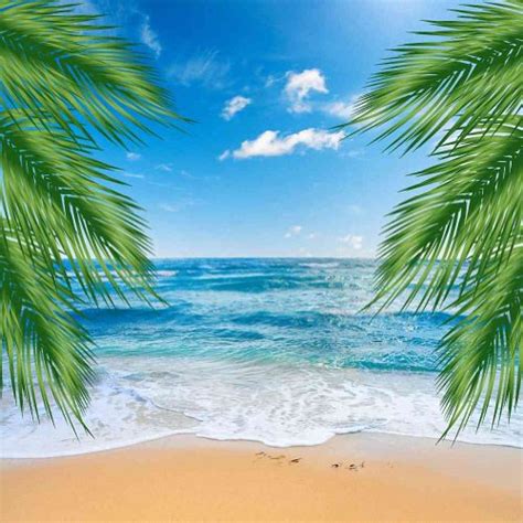 GladsBuy Beautiful Beach 10' x 10' Computer Printed Photography Backdrop Nature Theme Background ...