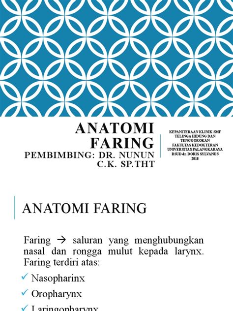 Anatomi Faring | PDF