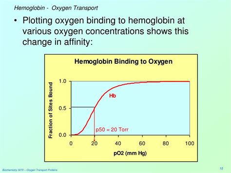 PPT - Oxygen Transport Proteins: Myoglobin & Hemoglobin PowerPoint Presentation - ID:3259967