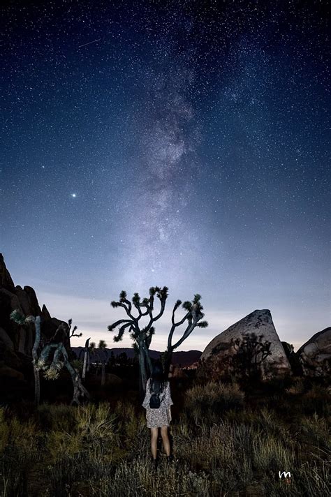 Chasing The Milky Way in Joshua Tree National Park — WuLi Times