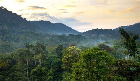 Volcanic Mountains in Uganda, List of volcanoes in Uganda