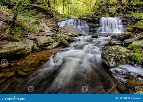 Cayuga Falls, Ricketts Glen State Park, PA Stock Photo - Image of ganoga, falls: 110143898