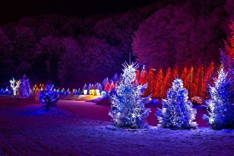 The 15 Best Collection of Hanging Outdoor Christmas Tree Lights