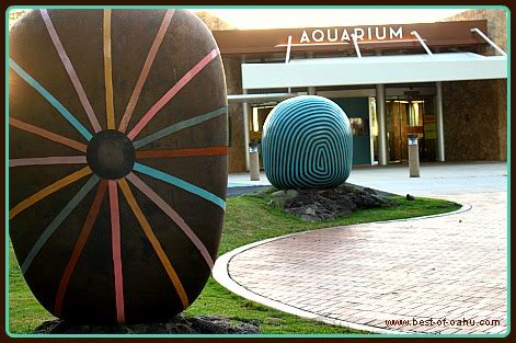 Discover The Waikiki Aquarium - What You Need to Know