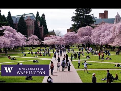 University of Washington Seattle - Campus Tour - YouTube