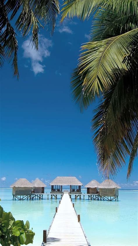 Beach, resort, HD phone wallpaper | Peakpx