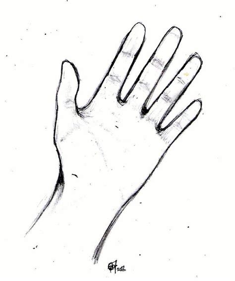 .: left Hand Sketch :. by PrideAlchemist7 on DeviantArt