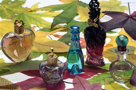 Fotos gratis : flor, color, botella, bodegón, pintura, hojas, Hojas verdaderas, Perfumes ...