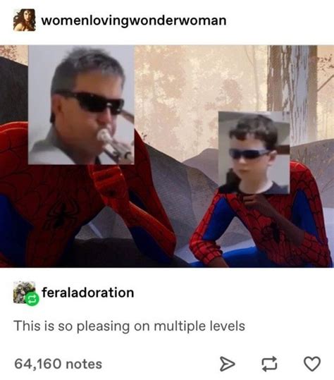 Into the spider verse Spiderman Miles Morales Peter Parker meme fandom geek father and son boy ...