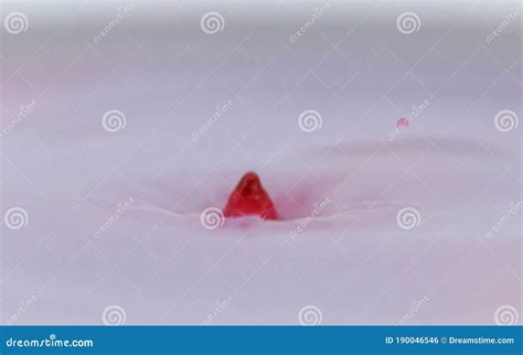 Red Color Water Drop and Splash Stock Photo - Image of natural, water ...