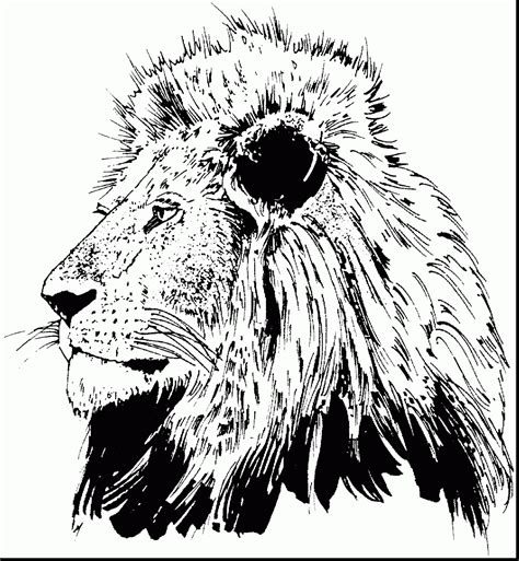 Lions Head Drawing at GetDrawings | Free download