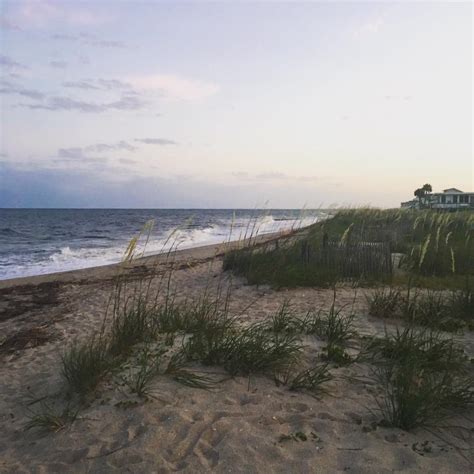 Welcome to Edisto Beach, South Carolina! | EdistoBeach.com