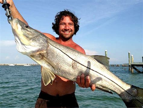 How to Fish for Slob Snook in Florida: The Complete Guide for 2024 ...