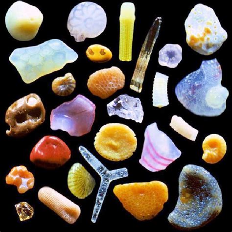 Sand under a Microscope; How Does Magnified Sand Look?