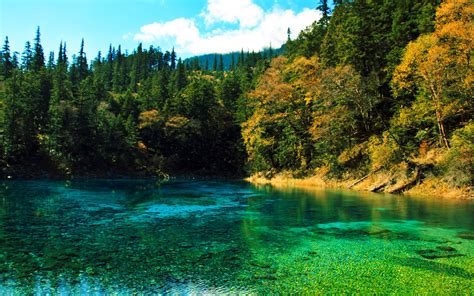 Jiuzhaigou Valley - Jiuzhaigou Attractions - China Top Trip