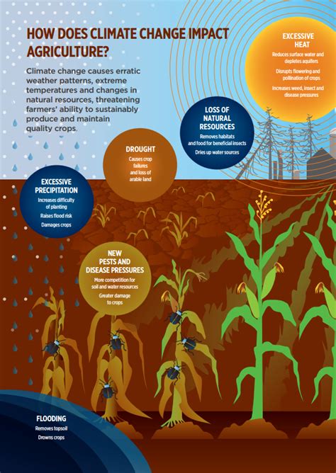 Infographic: How does Climate Change Impact Agriculture? | CropLife International