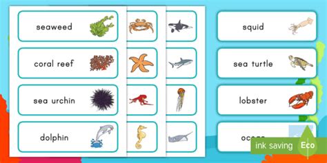 Sea Word Cards | Primary Teaching Resources