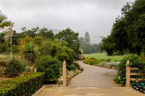 Santa Barbara Botanic Garden is Nothing Short of a National Park ...