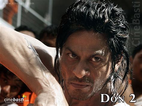 shahrukh khan wallpapers: shahrukh khan don 2 wallpapers