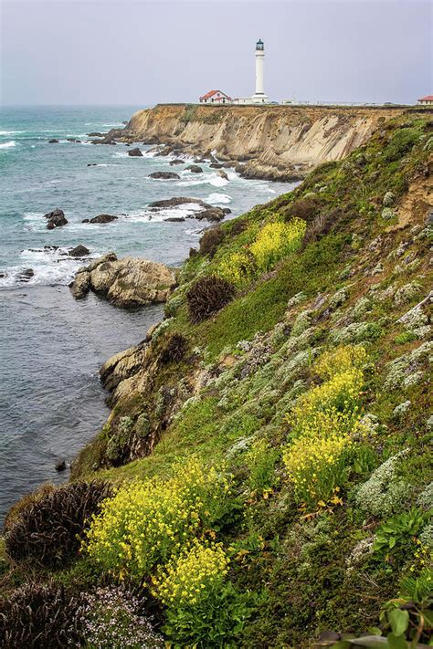 Point Arena Lighthouse Photograph by Jennifer McMahon - Fine Art America