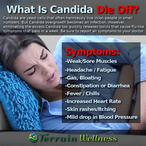 Candida Die Off Symptoms