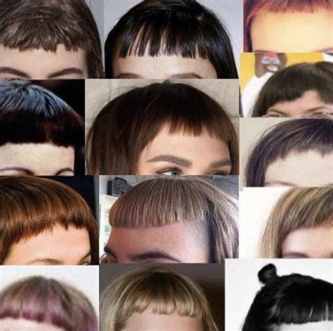 TERF Bangs | TERF Bangs | Know Your Meme