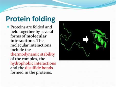 Protein Folding Mechanism