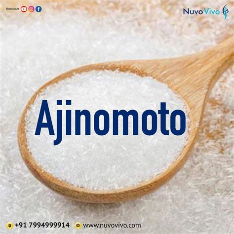 AJINOMOTO! | Glutamate, Nutrition, Food