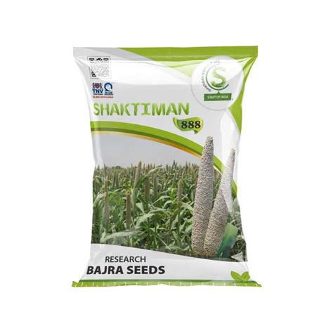 Research Bajra Seeds 888 – Welcome to Shaktiman Seeds