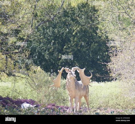 Dinosaurs, Crystal Palace, London Stock Photo - Alamy