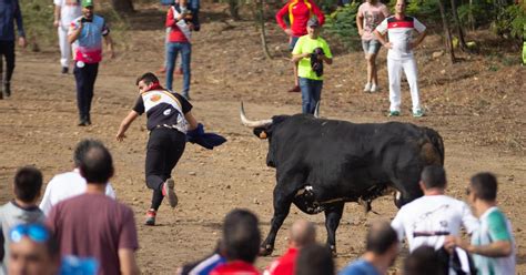 Bullfighting Ethics: Why Are Fights Still Allowed?