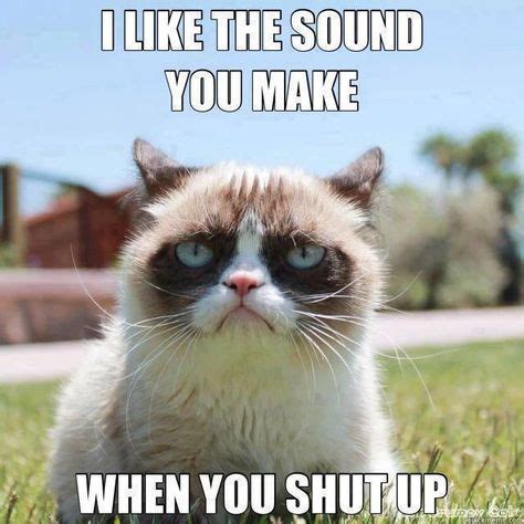 "You shut your mouth when your talking to me"!!!! | Grumpy cat quotes ...