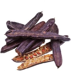 Locust Bean Gum - UNIPEKTIN Ingredients AG